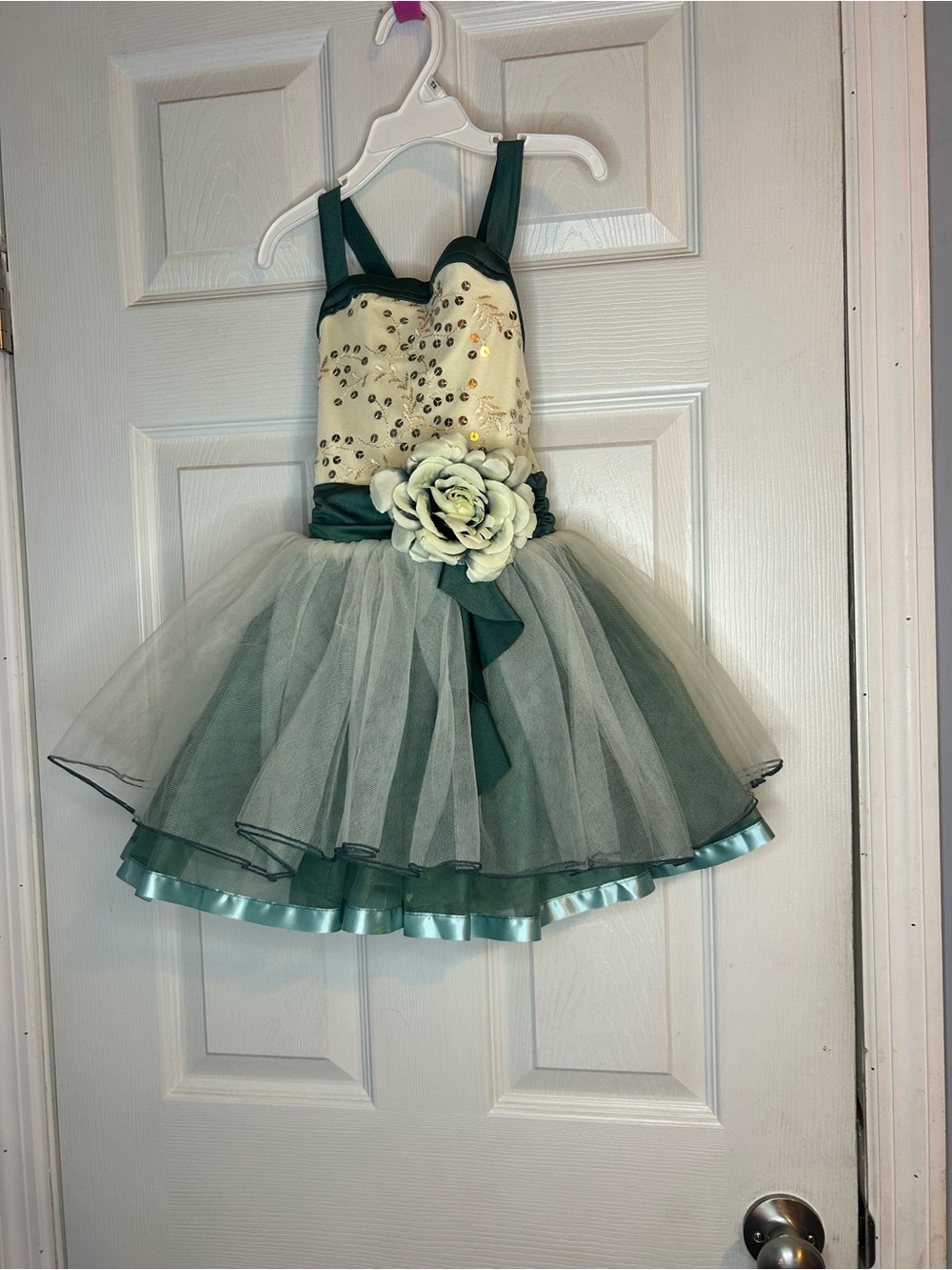 Girls Green and Cream Floral Tulle Tutu Dress - Dance Costume